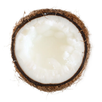 Dừa sáp đặc sản Cầu Kè, Trà Vinh