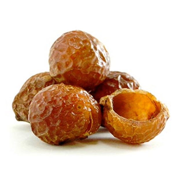Trái bồ hòn (soap nut) tách hạt