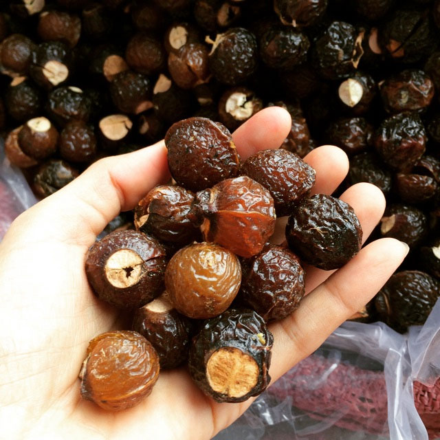 Trái bồ hòn tách hạt